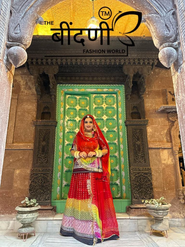 New High quality 5 D Heavy Organza Poshak