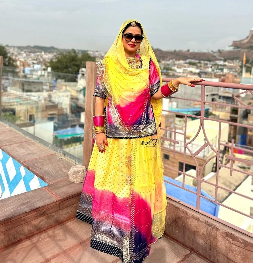 3D Heavy Organza Partywear Rajasthani Poshak With Heavy Sequence
