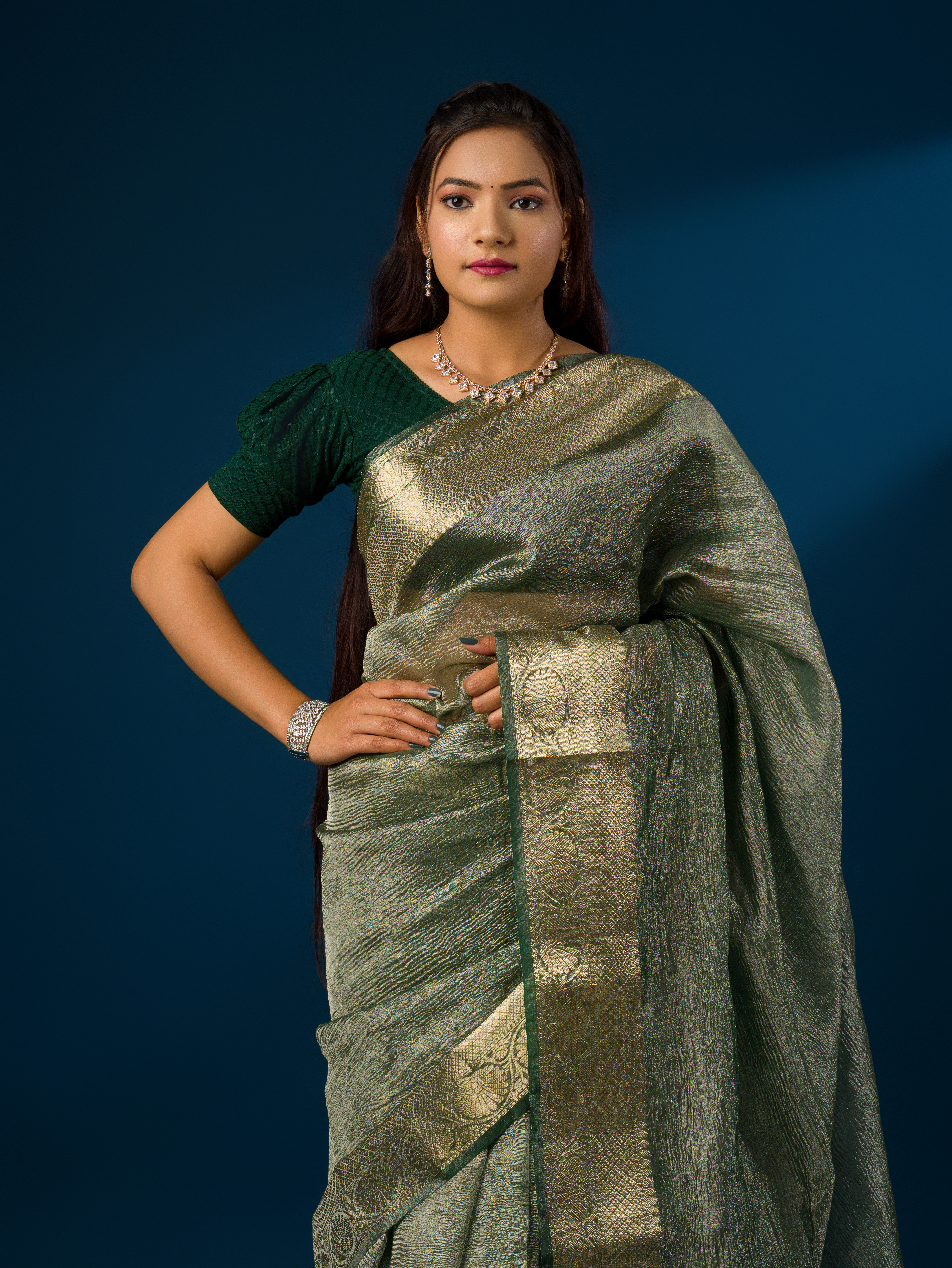 New Tissue Silk Banarasi Handloom Zari Border saree