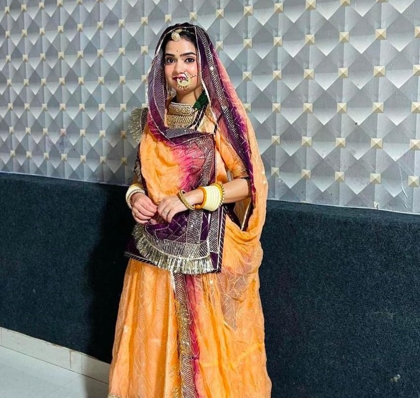 Designer Organza Suit Rajasthani Poshak With Heavy Sequence Work