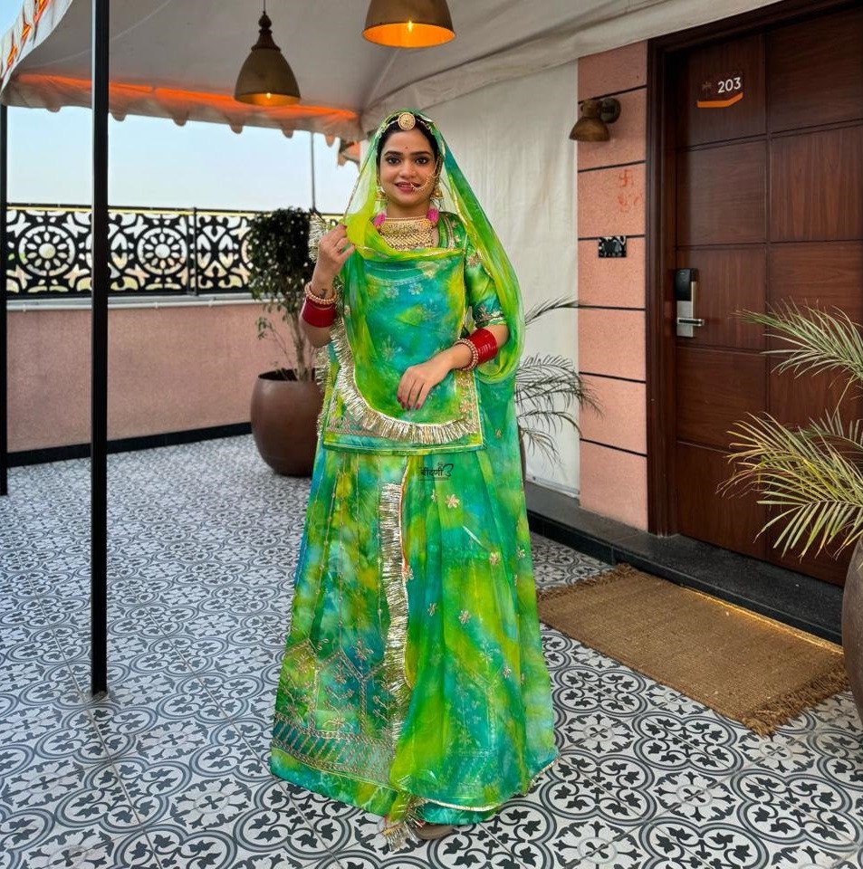 Shibori organza raputi poshak