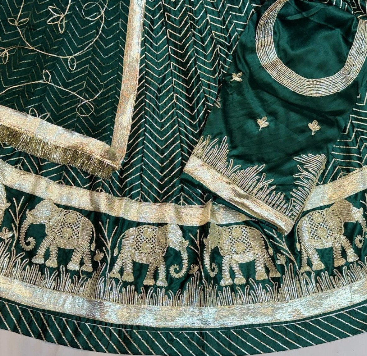 Border with zaal work rajputi poshak