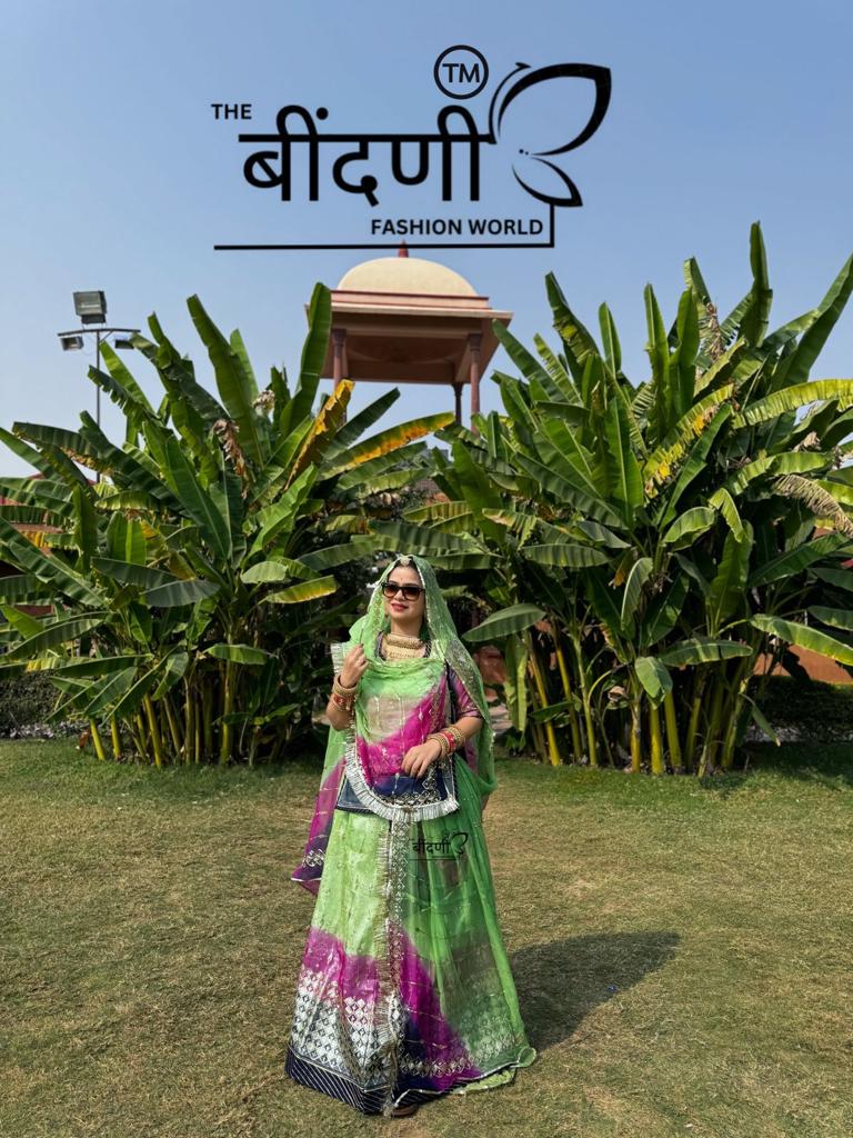 Bindani Elegance Redefined: Organza Suit with Exquisite Banarasi Border